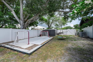 Backyard 1