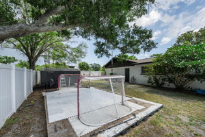 Backyard 2