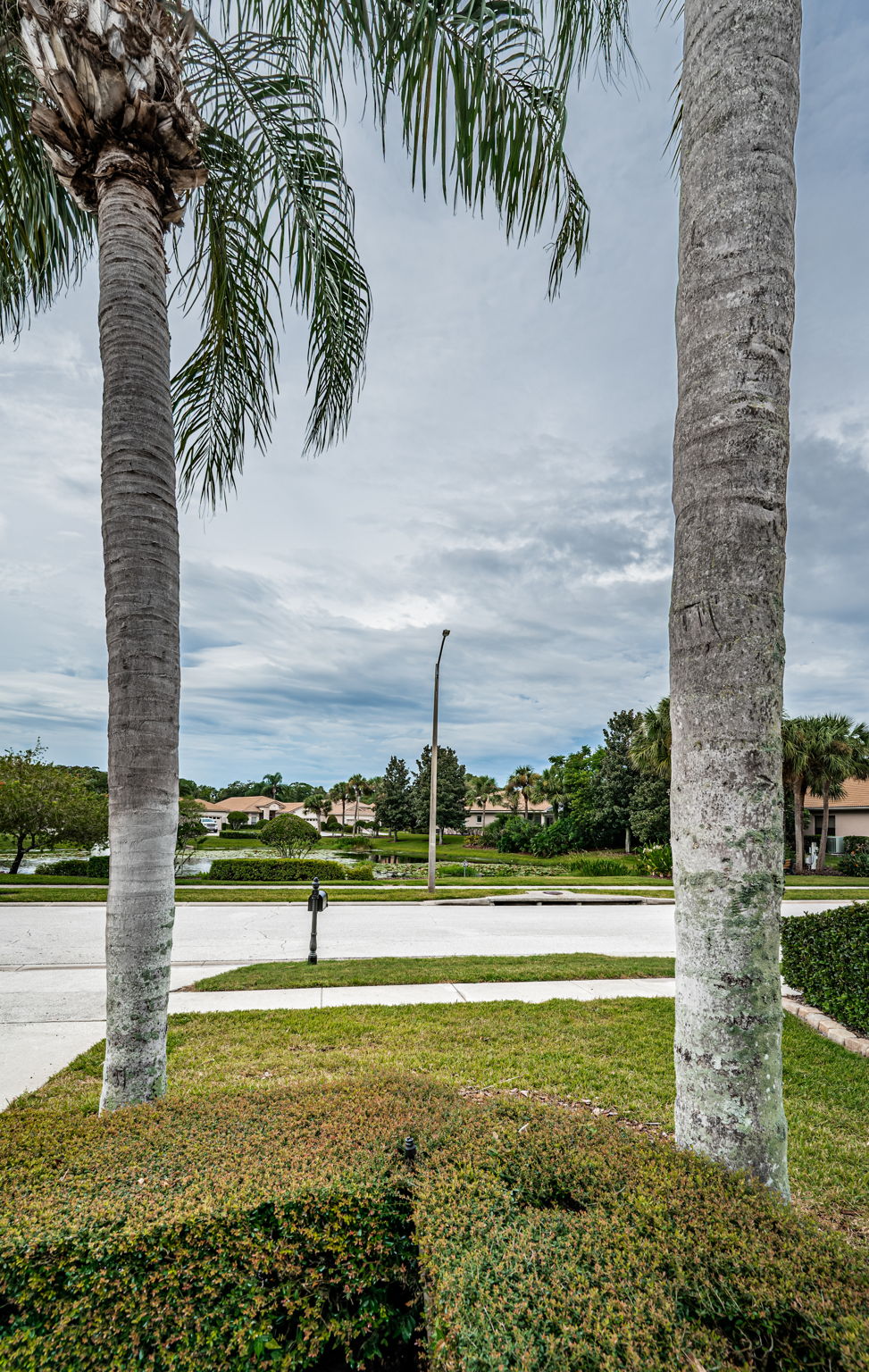 Frontyard View1