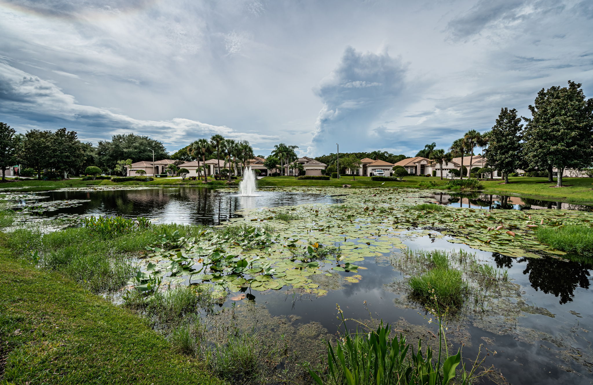 Frontyard View3