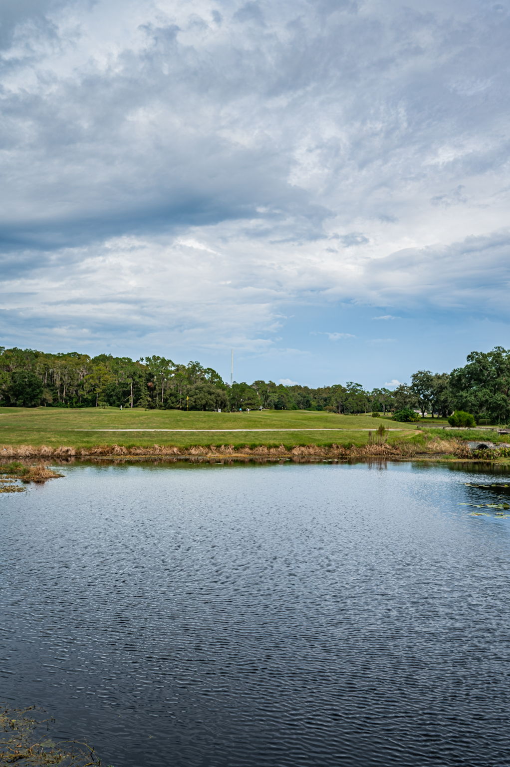 Golf Course View2