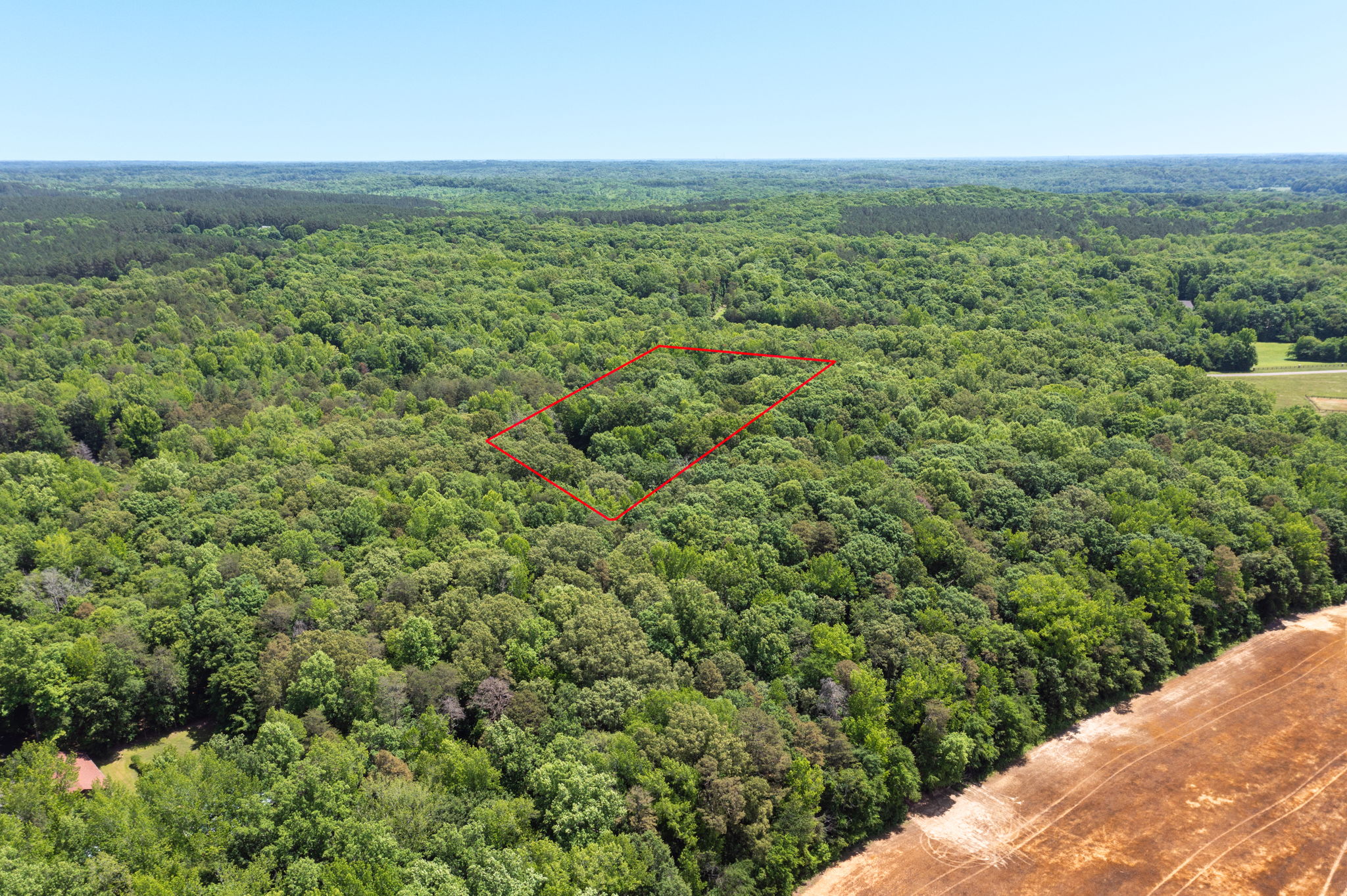 4350 Williams Rd-47