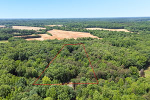 4350 Williams Rd-43