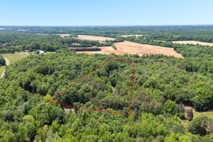 4350 Williams Rd-44