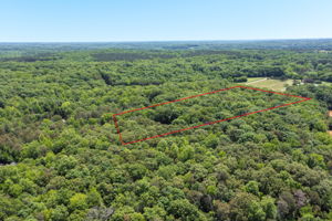 4350 Williams Rd-46