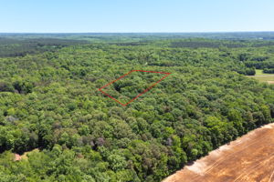 4350 Williams Rd-47