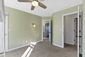  Photo 41