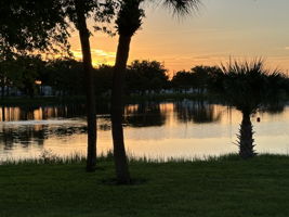  Photo 35