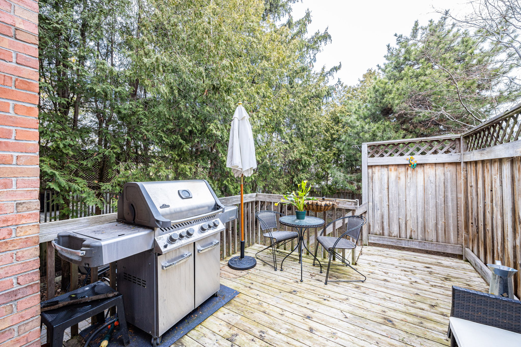 Toronto property showcase — delivered property photograph 45