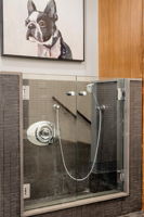  Photo 95