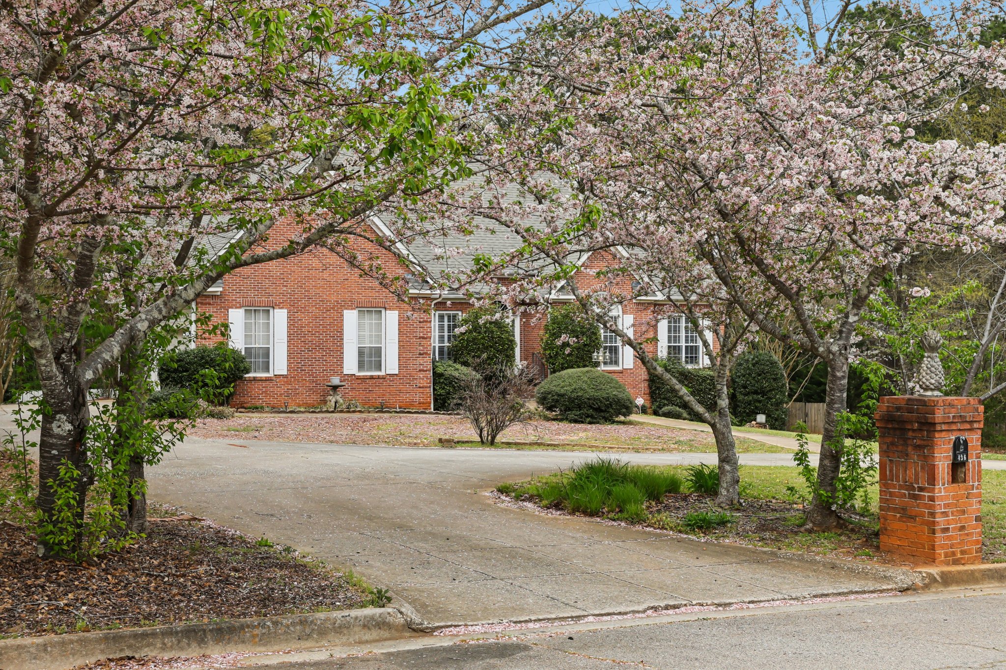 Lancelot Trl-S2603-002.jpg