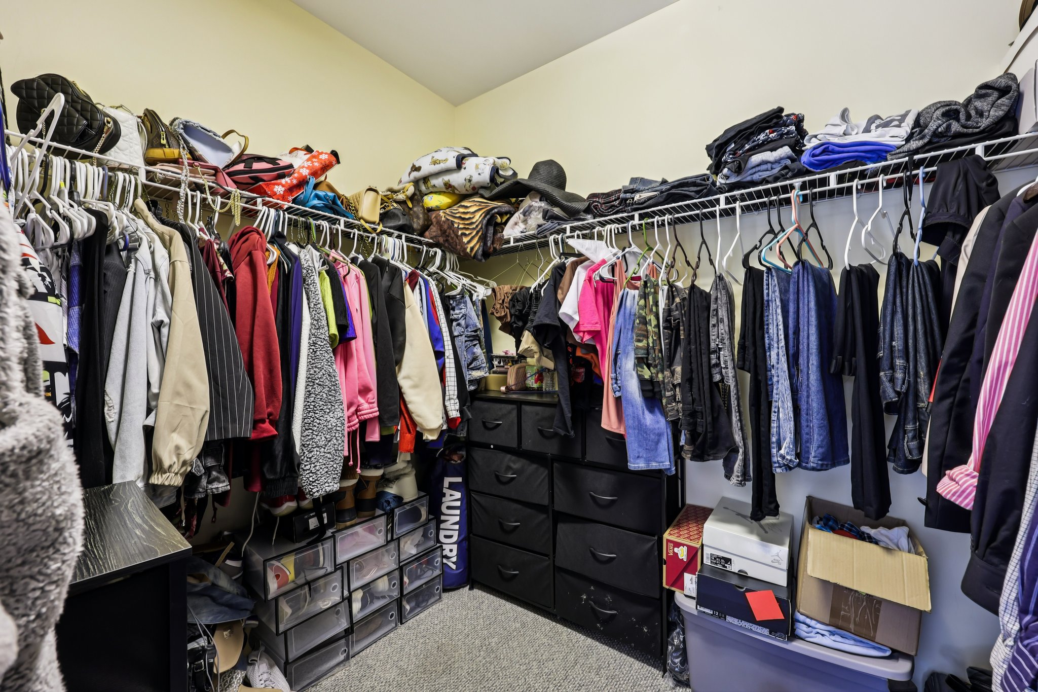 Lancelot Trl-S2603-027.jpg