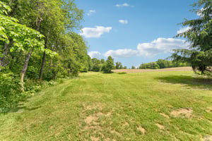 Crestview Rd-0406-051.jpg