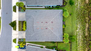 Aerial Overview