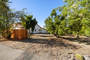 Avocado Grove