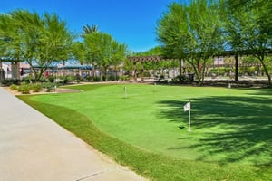 Treviso Dr-0109-909.jpg