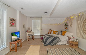 19. MLS