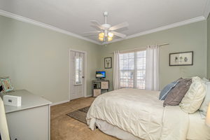 12. MLS