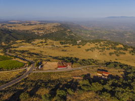 Espinazo 099