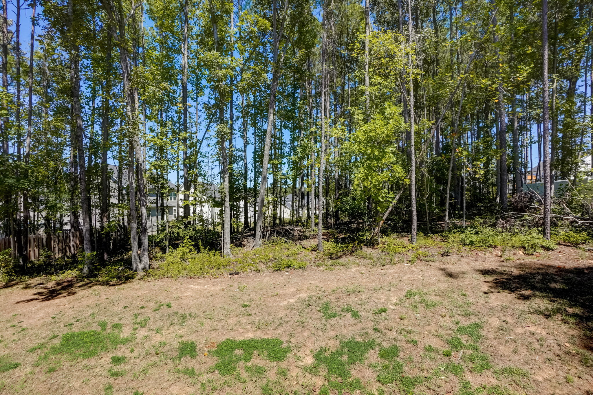 Badger Pass Dr-033
