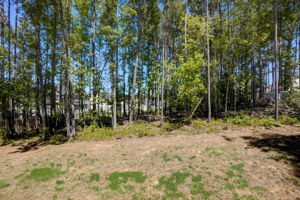 Badger Pass Dr-033