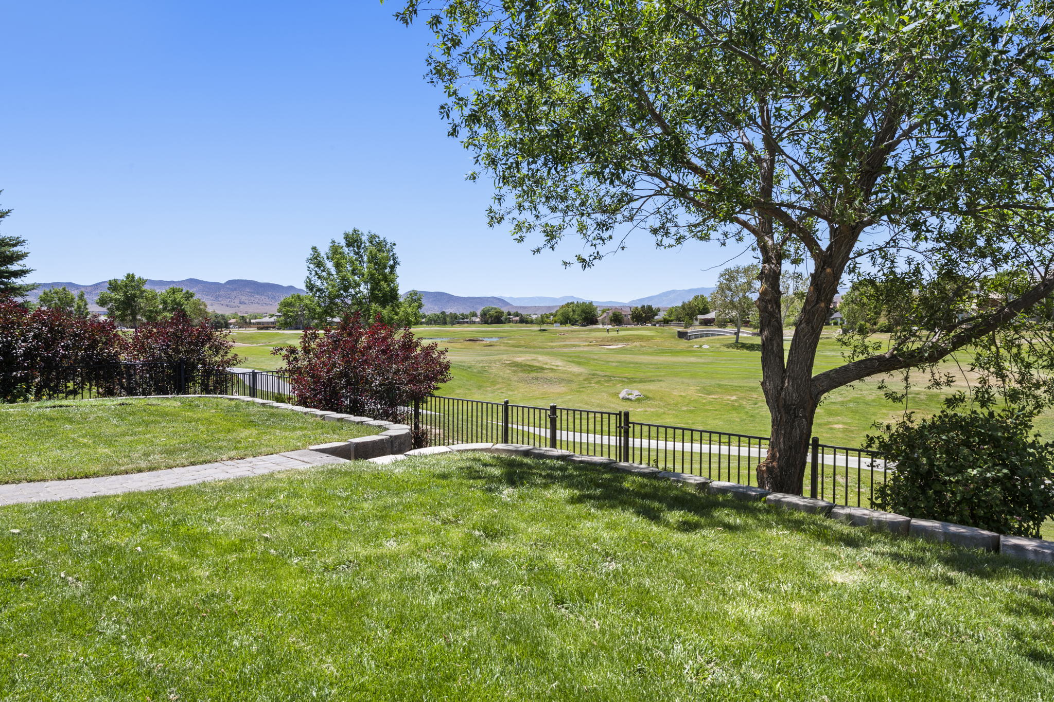 Backyard View