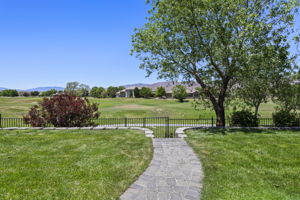 Backyard View