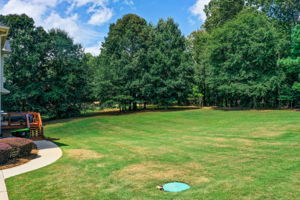 45 Aerial Back Yard A