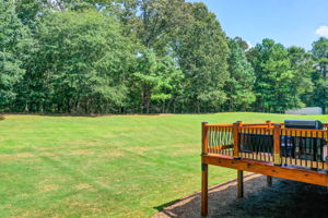 48 Aerial Back Yard B
