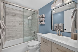 Guest Bathroom 1