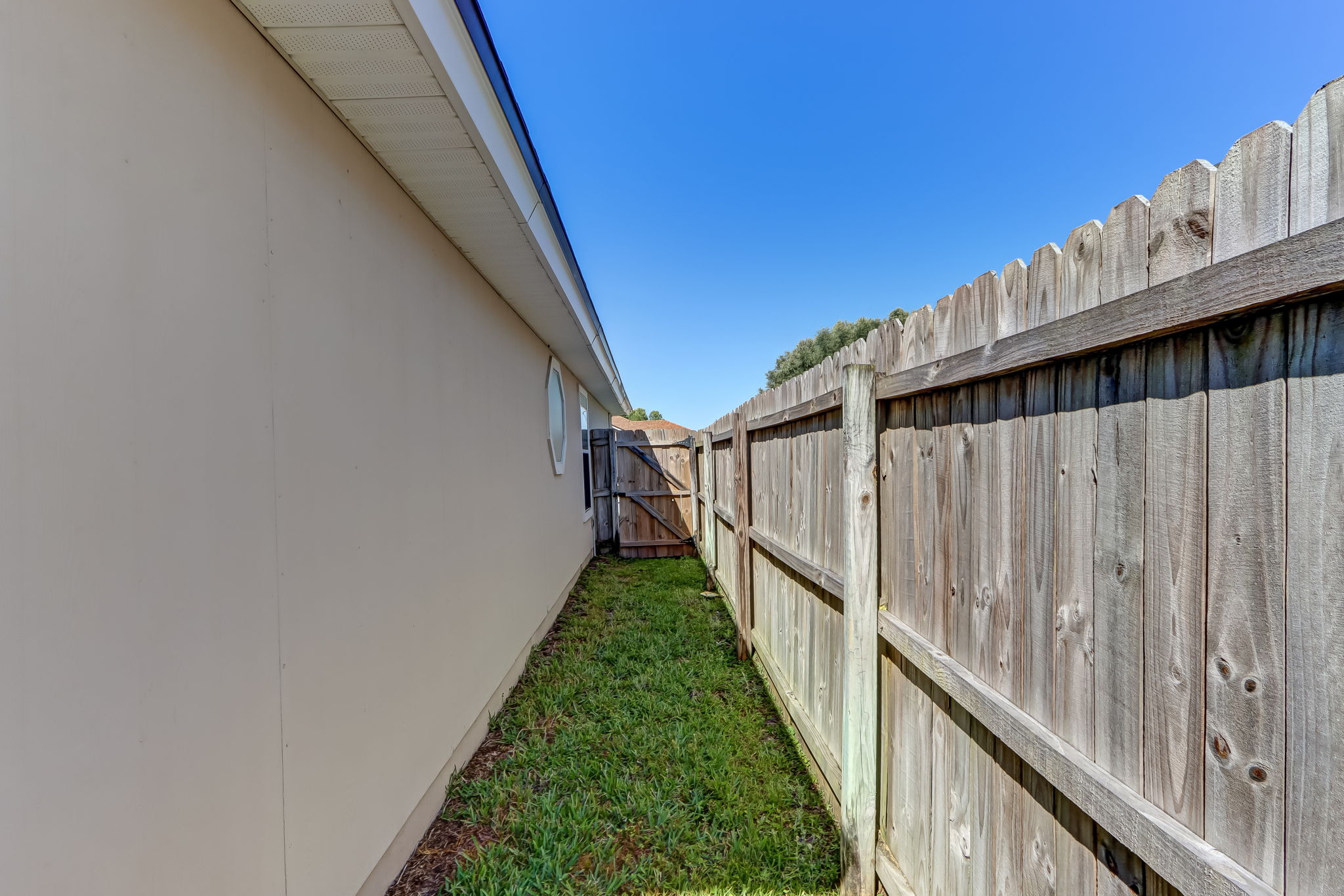 Side Yard