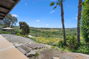 View of Calavaras Preserve from backyard
