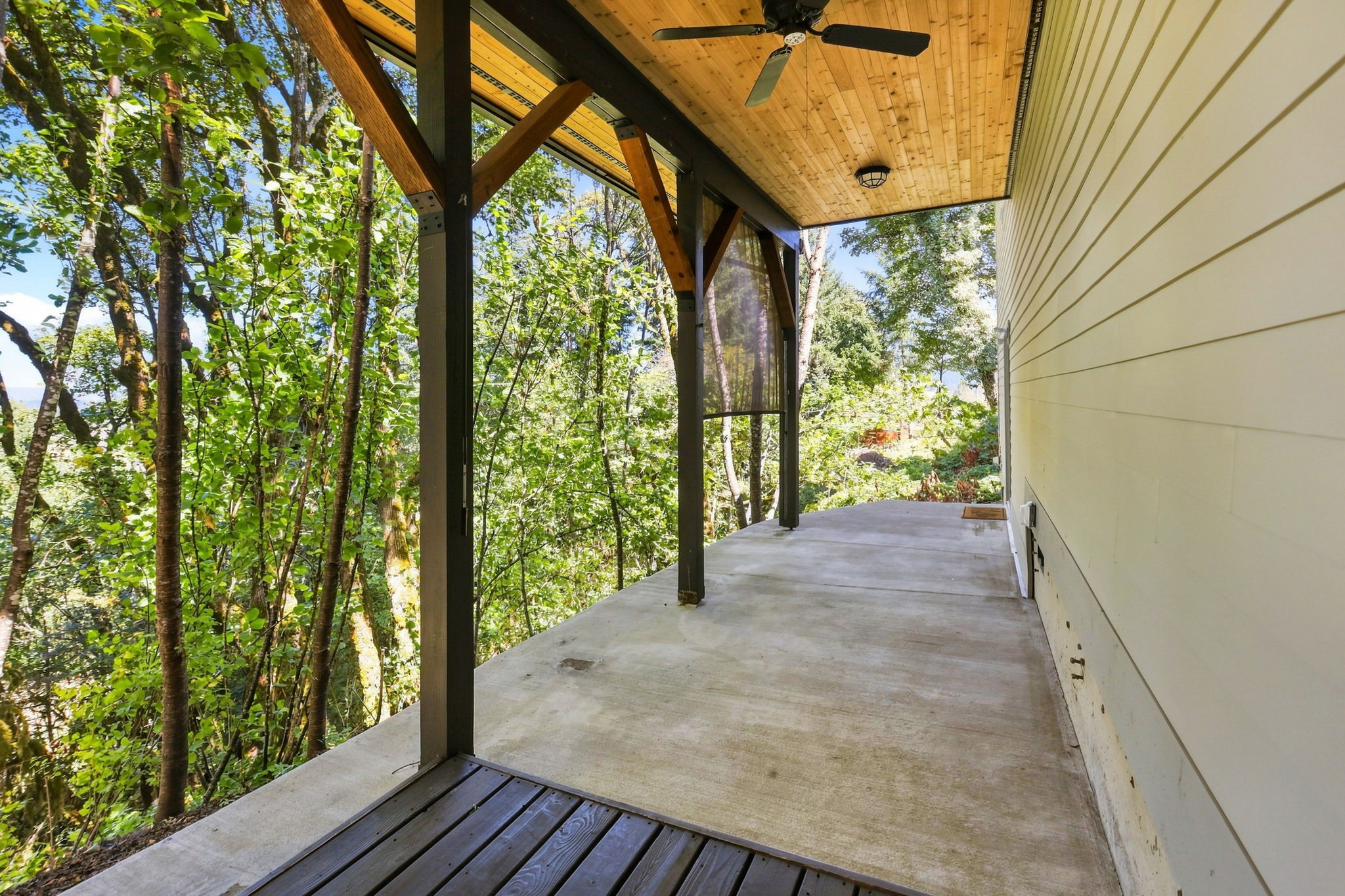 Lower Patio