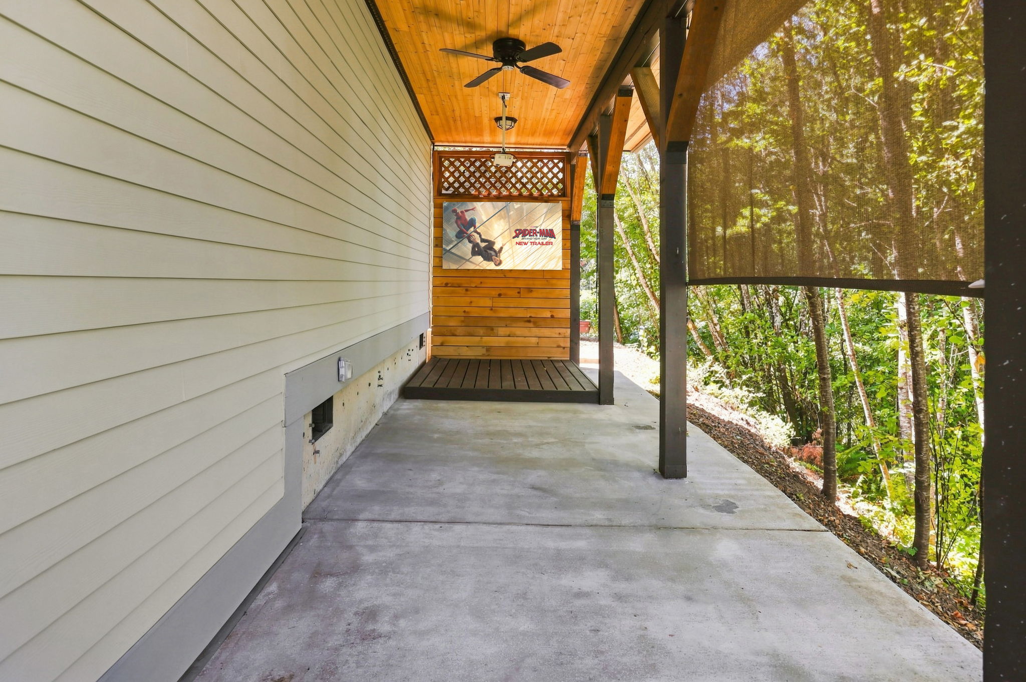 Lower Patio