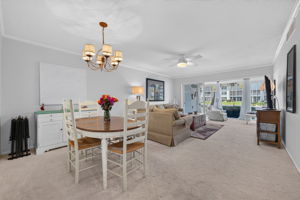 Dining/Living Room