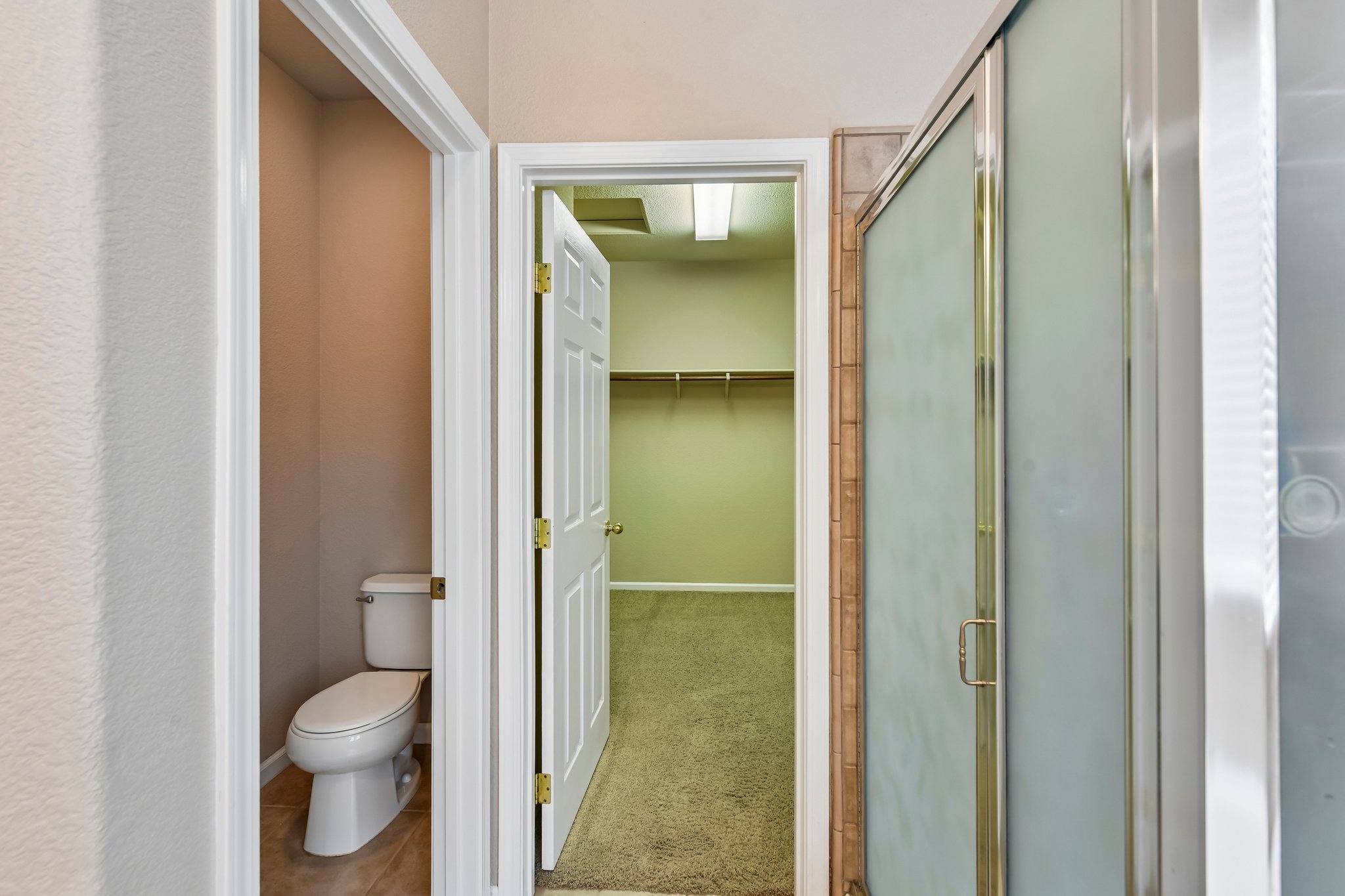 Niobe Cir-S1407-038.jpg