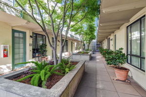Lush landscaping!