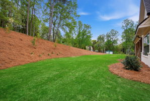  Photo 41