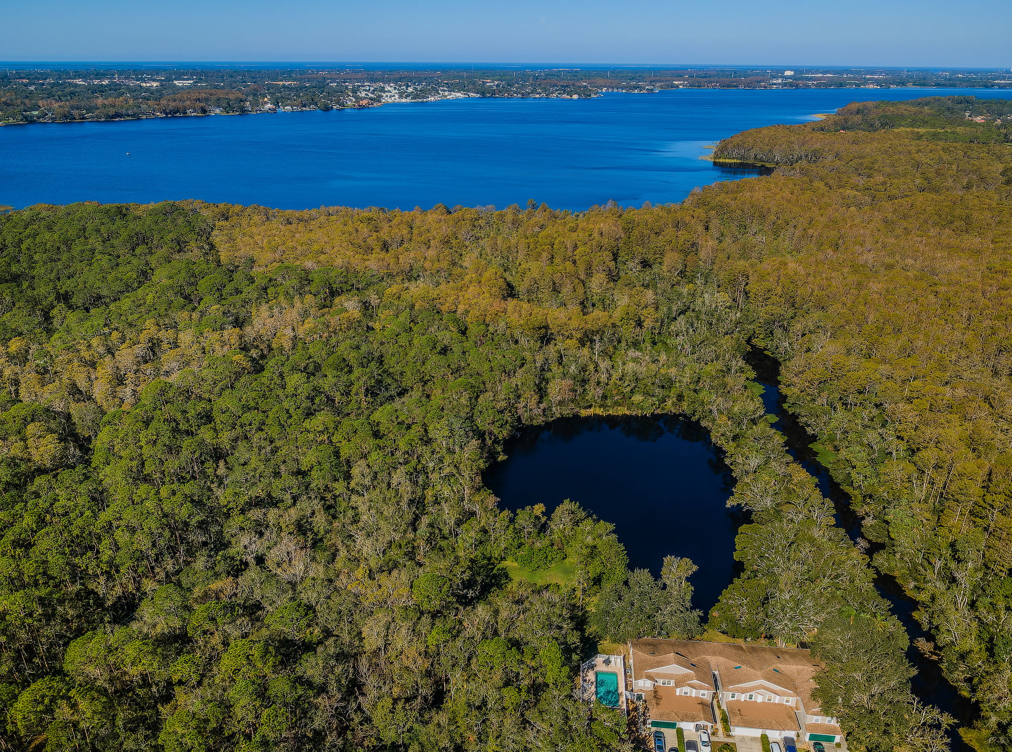 Brooker Creek Pool11