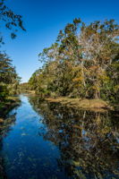 Backyard3 Water View4