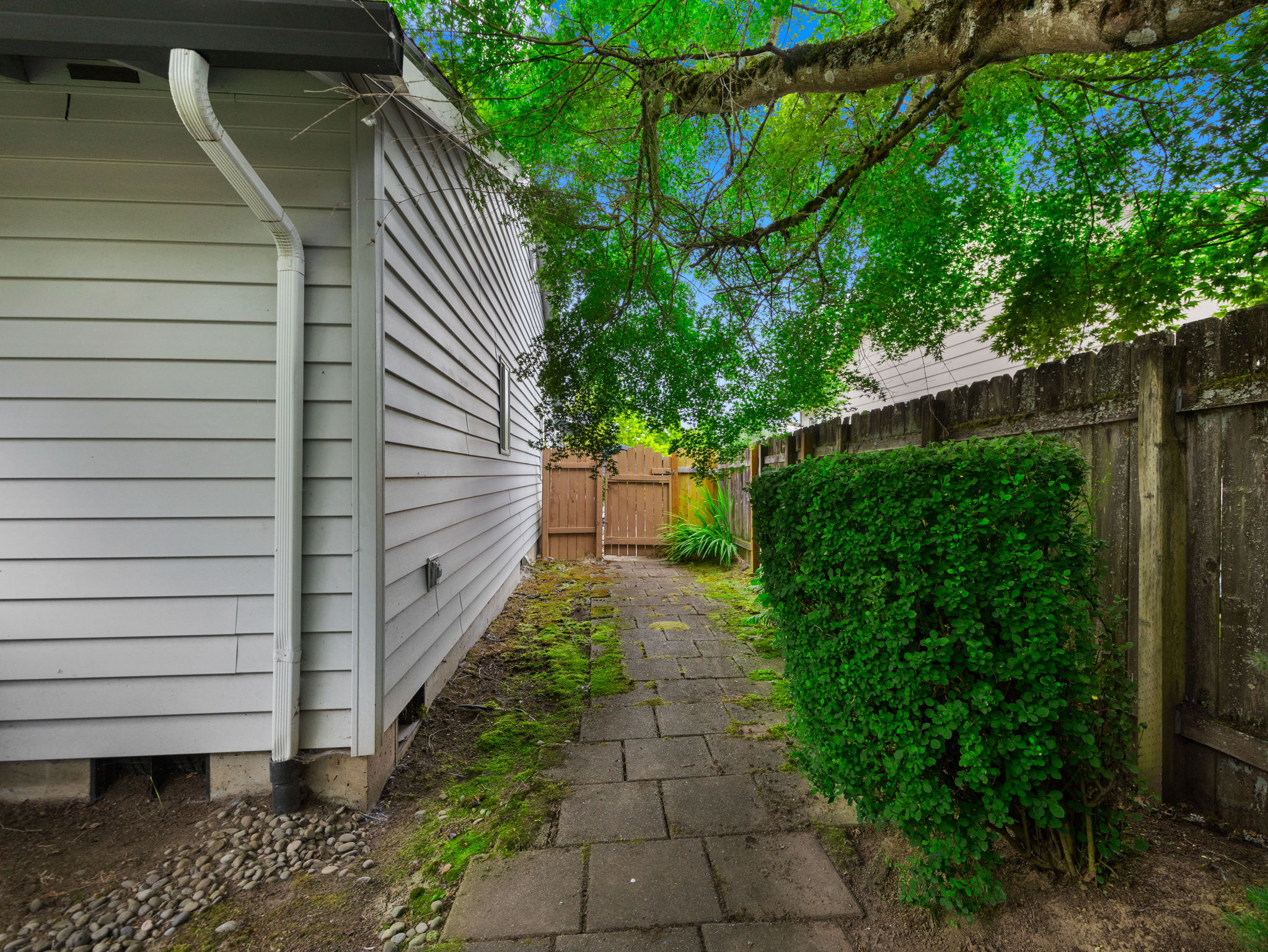  Photo 45