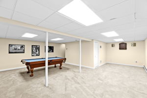 Finished Basement II