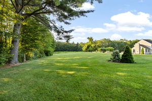 Back Yard I