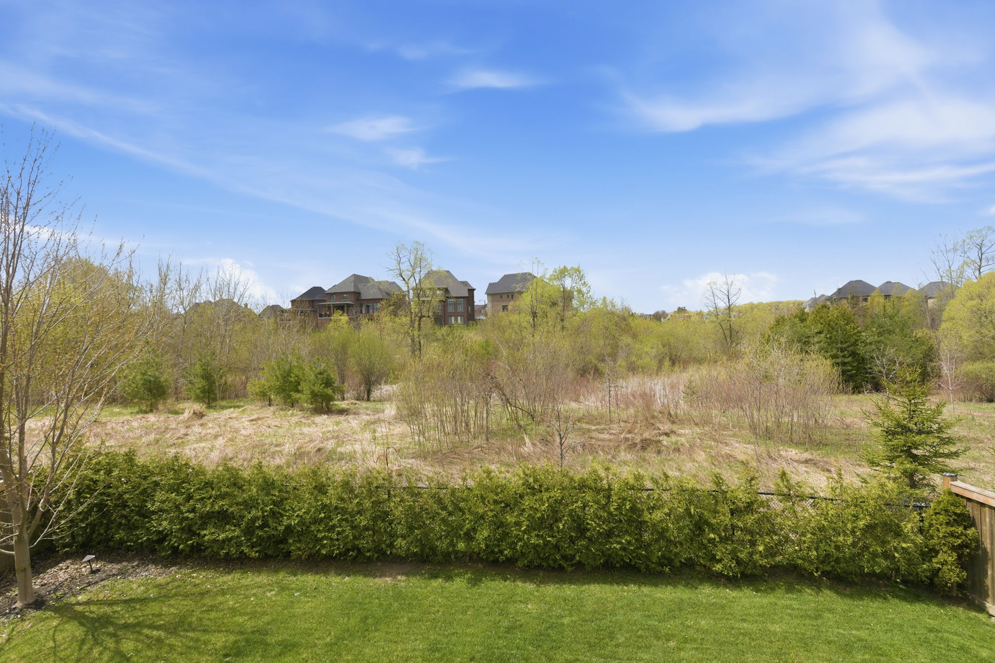 Property in King City — delivered property photograph 60