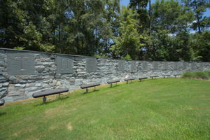  Photo 49