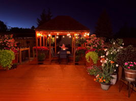 Photo 70