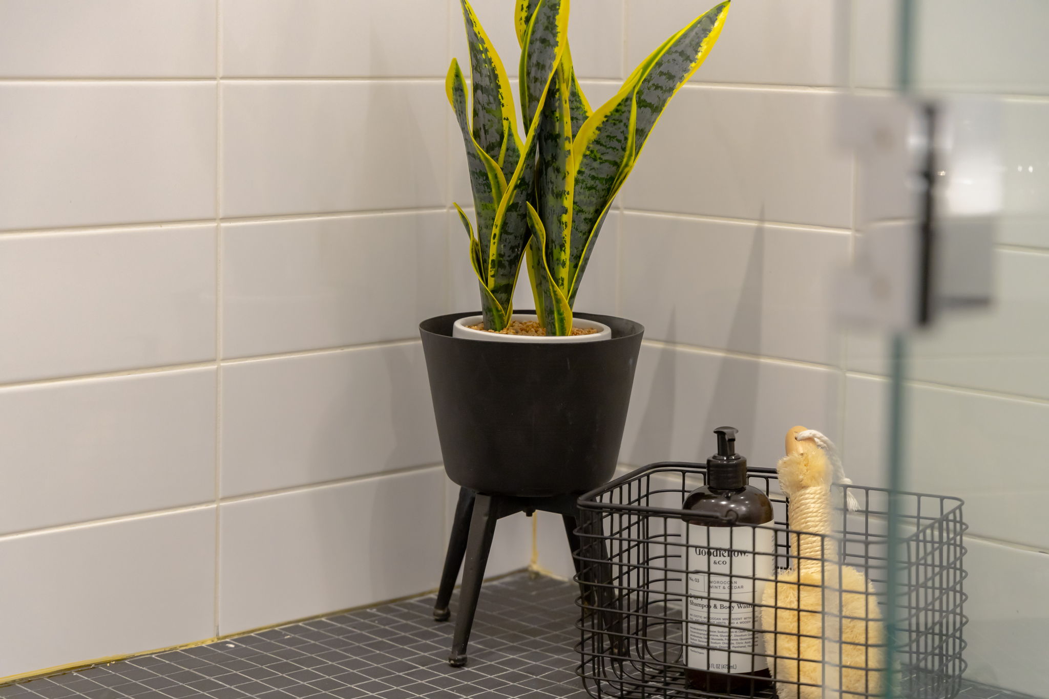Toronto property showcase — delivered property photograph 69