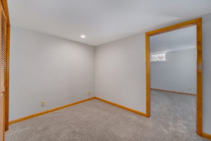 Lower Level - Flex Room