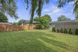 Photo 49