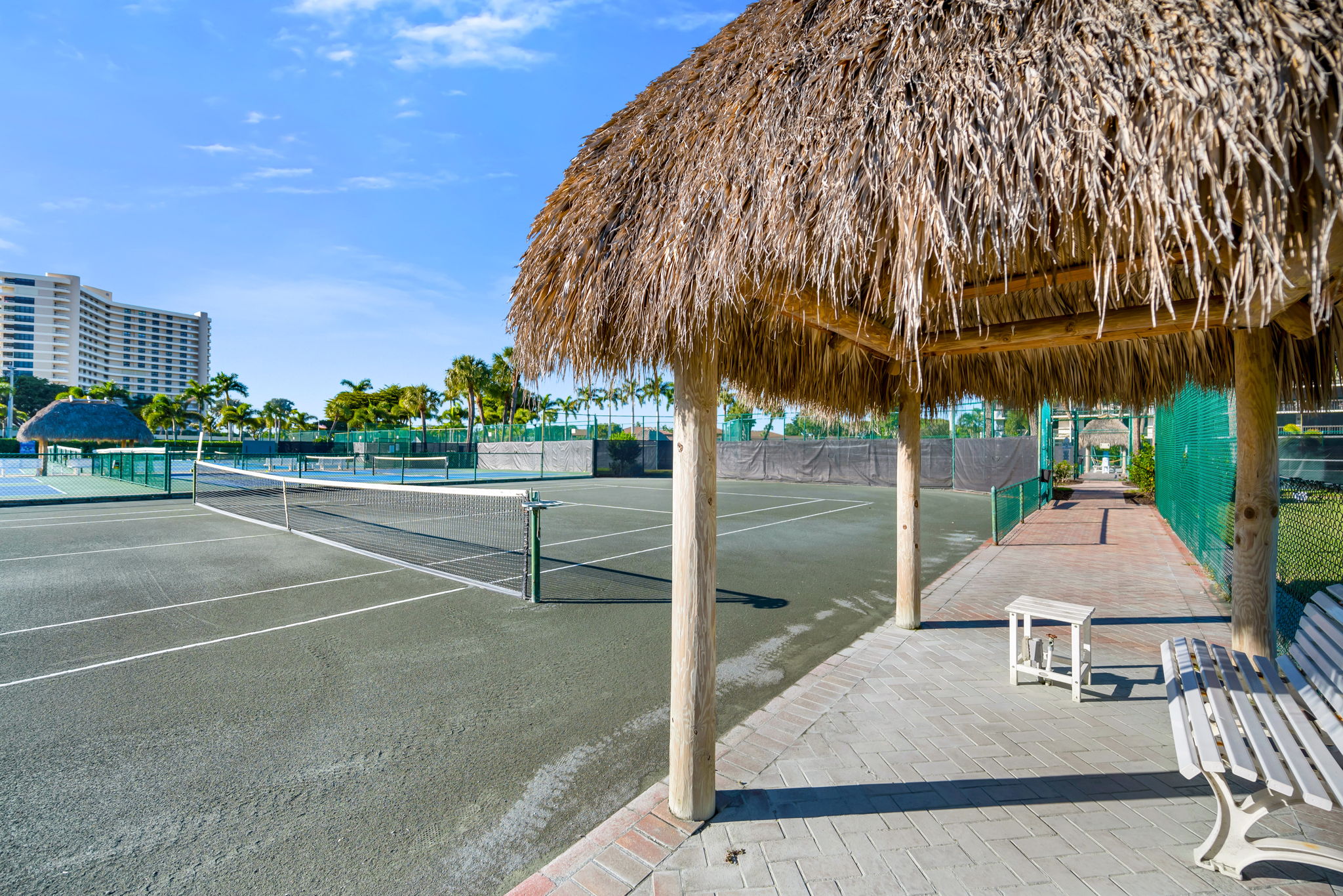 37-print-Tennis